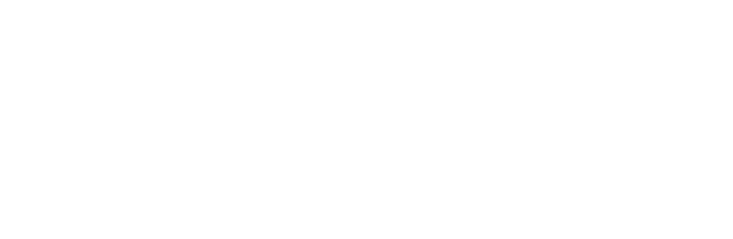Sanyo Logo - Sanyo - Nengun Performance