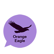 Orange Eagle Logo - eagle-logo