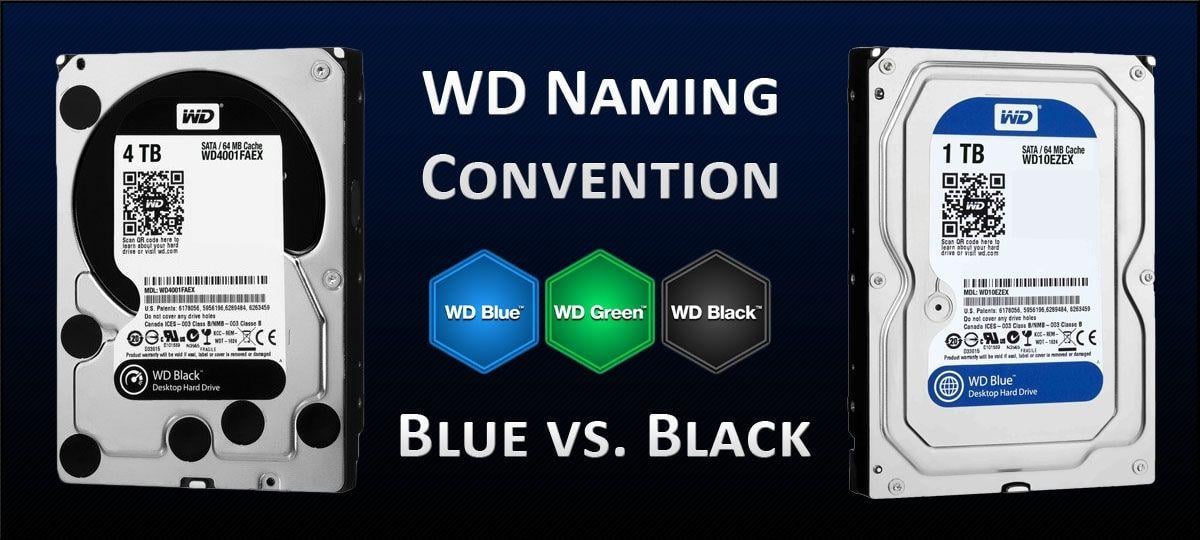 Black Green Blue Logo - WD Blue vs. Black vs. Green Hard Drive Comparison