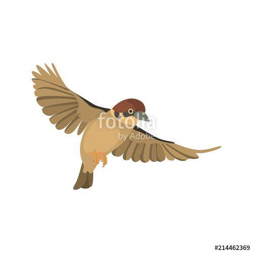 Flying Sparrow Logo - Flying sparrow high quality color icon