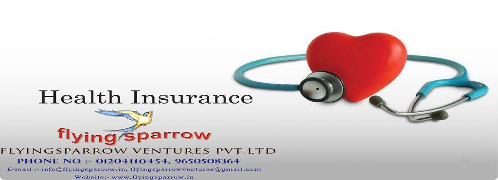 Flying Sparrow Logo - Flying Sparrow Ventures, Noida HO - Car Insurance Agents in Delhi ...