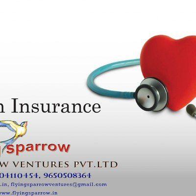 Flying Sparrow Logo - Flying Sparrow Ventures, Noida HO - Car Insurance Agents in Delhi ...