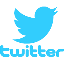 Current Twitter Logo - characters