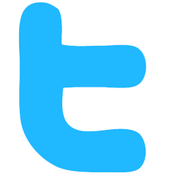 Current Twitter Logo - Social Networks Logos Guide (New Google Logo 2015). Infographics