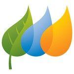 Green Colored Leaves Logo - Logos Quiz Level 6 Answers - Logo Quiz Game Answers