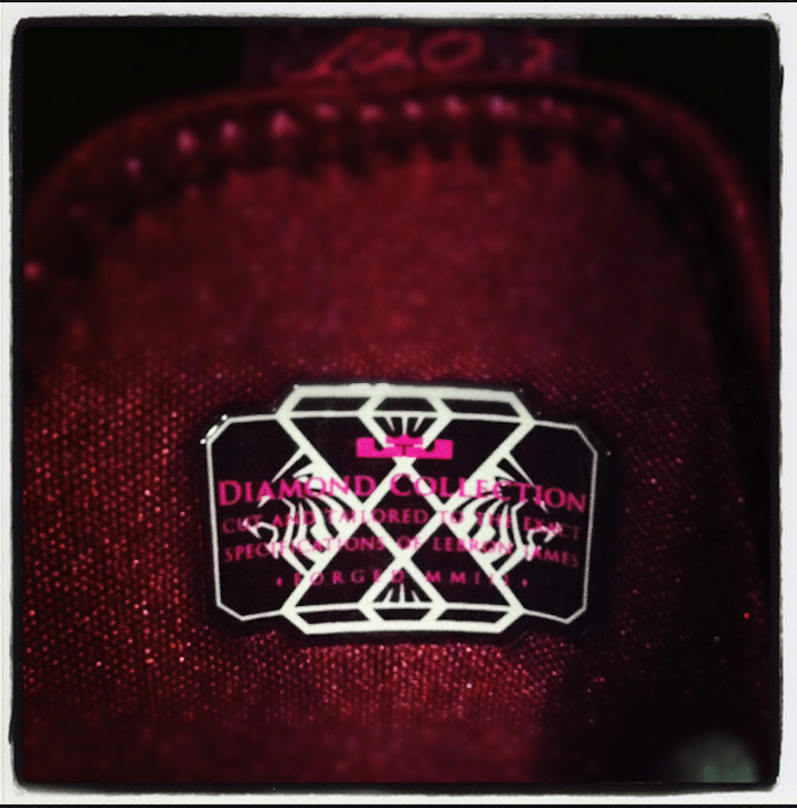 LeBron X Logo - Nike's Lebron James X 