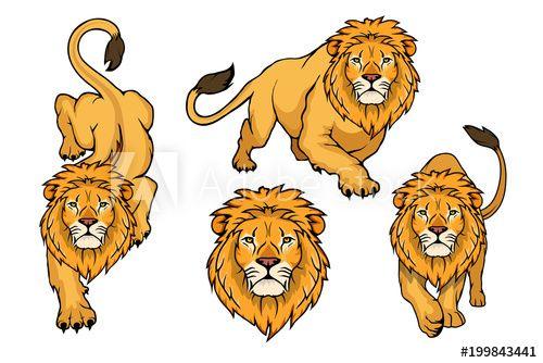 White and Orange Lion Logo - Set of Lion logo.Vector animal lion.King Lion isolated on white ...