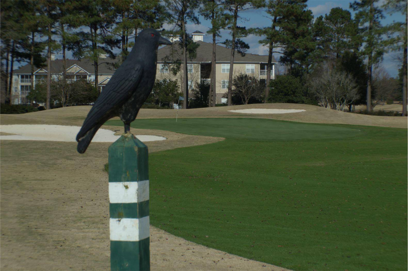 Crow Creek Logo - Crow Creek Golf. Calabash, NC