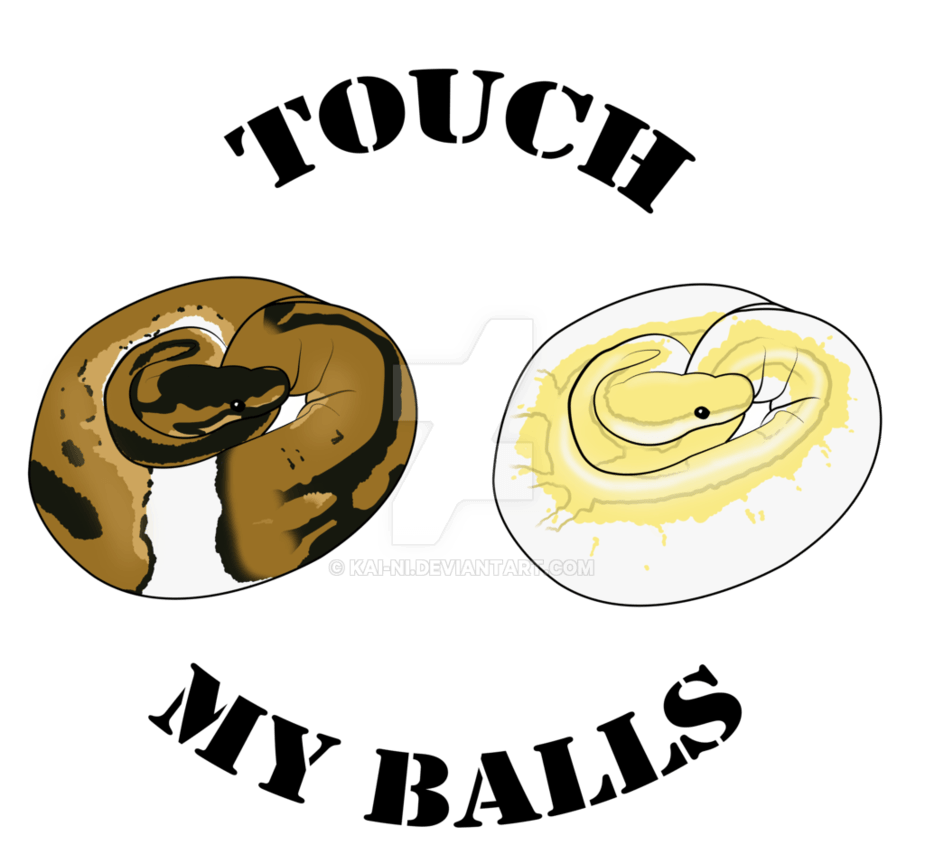 Ball Python Logo - Ball Python T Shirt By Kai Ni