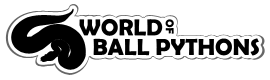 Ball Python Logo - World of Ball Pythons