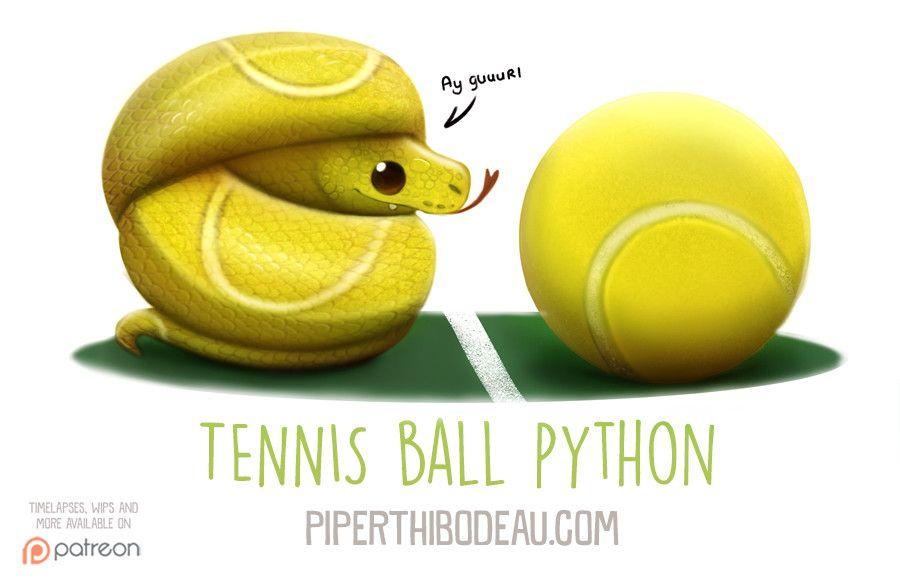 Ball Python Logo - Daily Paint 1594. Tennis Ball Python, Piper Thibodeau