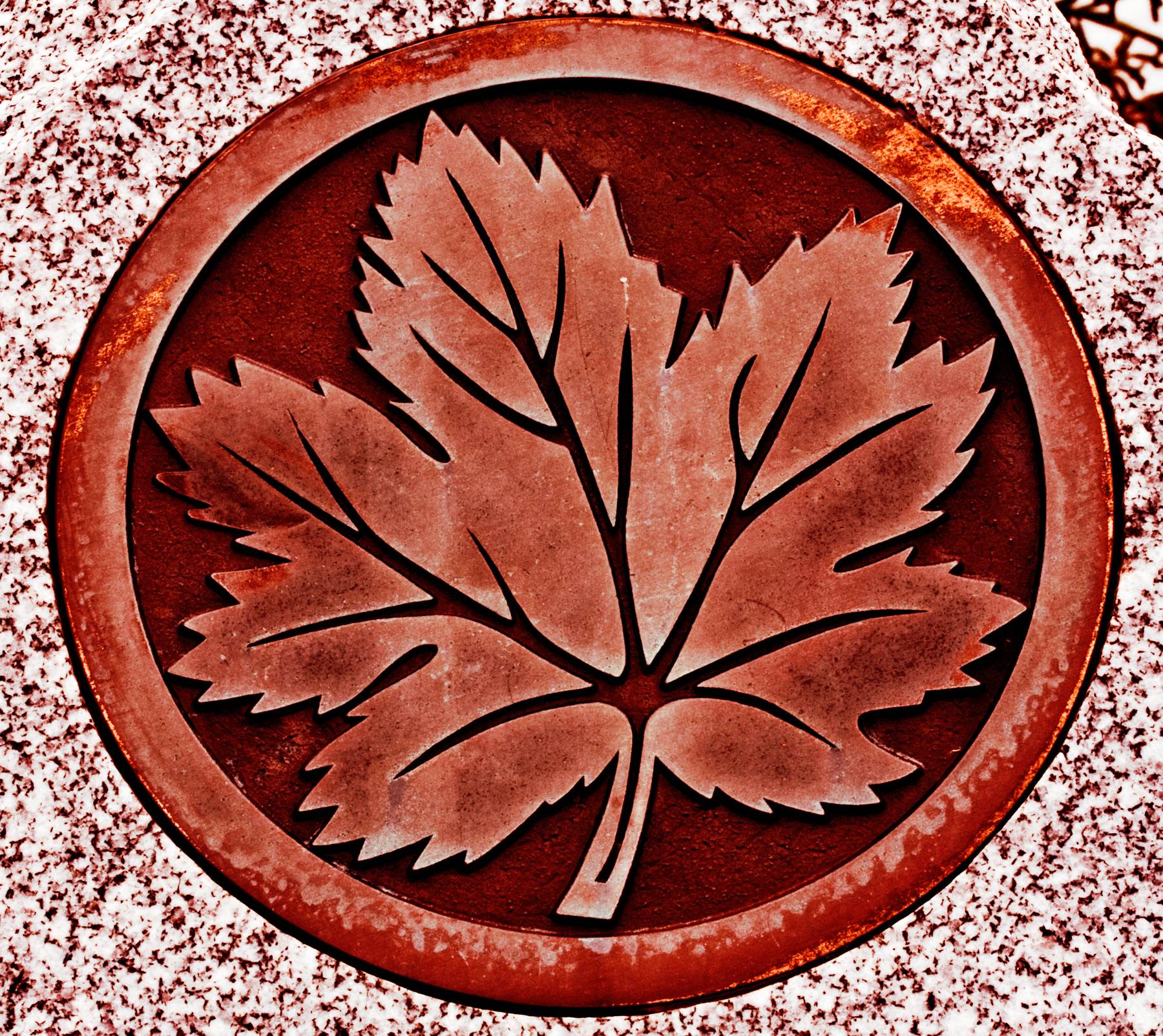 Maple Leaf with Circle Logo - Red Canadian Maple Leaf Engraving