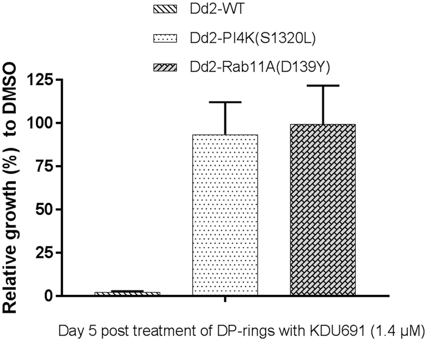 Three Orange Rings Logo - KDU691 mechanism of action on DP-rings is dependent on the PI4K ...