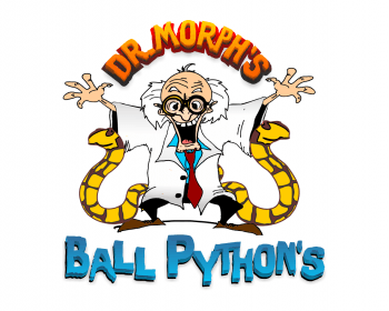 Ball Python Logo - Dr. Morph's Ball Python's Logo Design