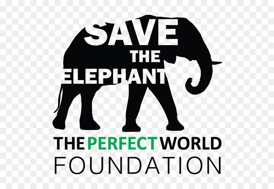 Elephant Brand Logo - African elephant Indian elephant Logo Brand - elephant png download ...