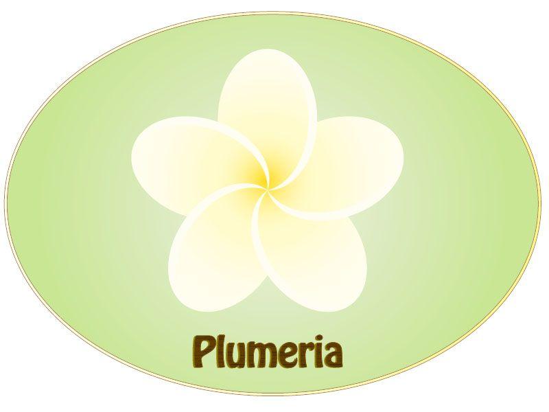 Plumeria Flower Logo - How to Create Plumeria Illustration (Illustrator)