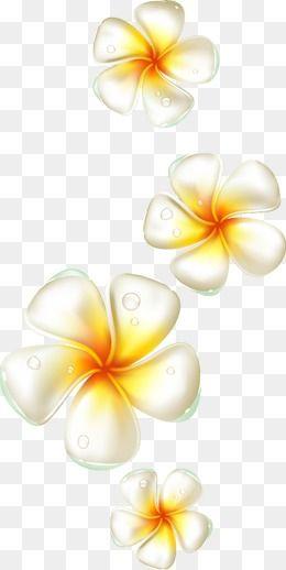 Plumeria Flower Logo - Plumeria Flower Png, Vectors, PSD, and Clipart for Free Download ...