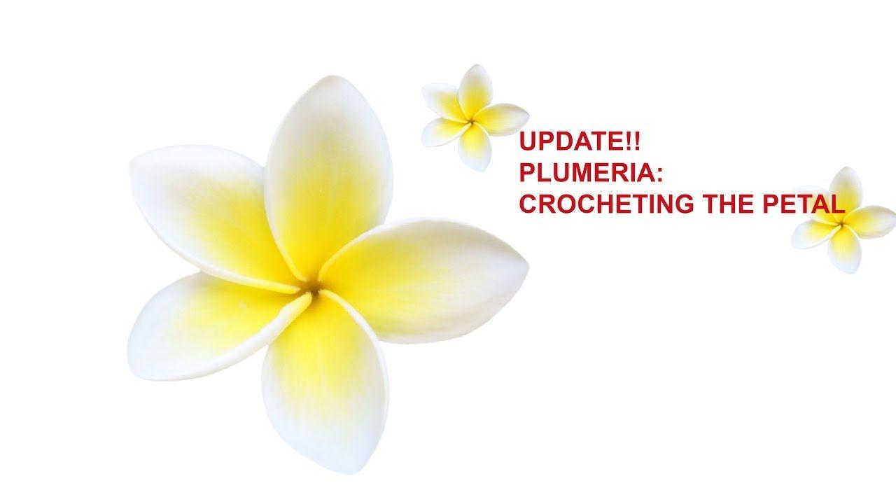 Plumeria Flower Logo - UPDATE: Crochet Plumeria Petal Tutorial - YouTube