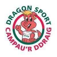 Dragon Sports Logo - Dragon Sport
