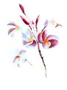 Plumeria Flower Logo - 196 Best Plumeria images in 2019 | Beautiful flowers, Hawaiian ...