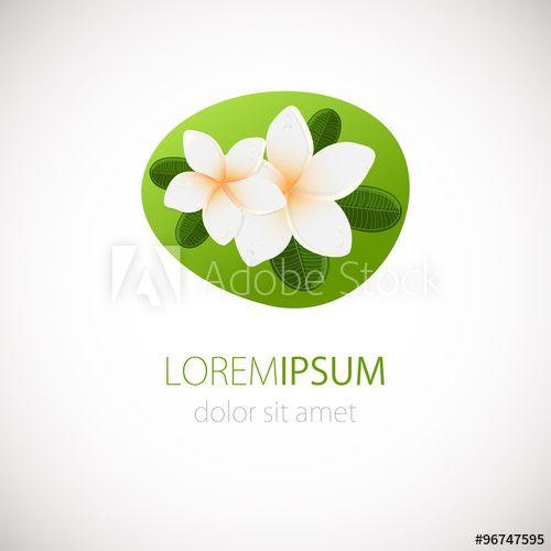 Plumeria Flower Logo - White plumeria flower logotype. Vector illustration of white Two ...