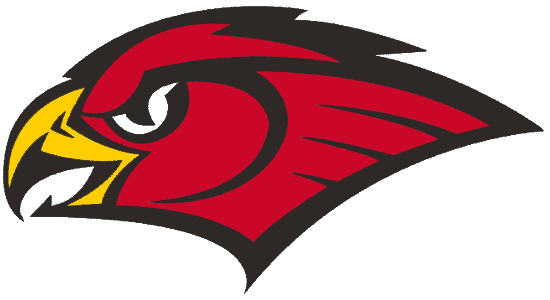Red Hawk Head Logo - Atlanta Hawks Alternate Logo (1999) - Hawk head profile | Atlanta ...