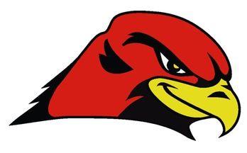 Red Hawk Head Logo - WOMEN'S COLLEGE BASKETBALL: Red Hawks expect to contend