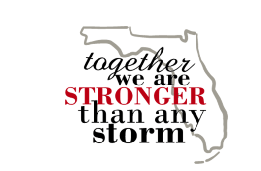 Florida Strong Logo - Florida Strong T-shirt for men – TeesForHumanity