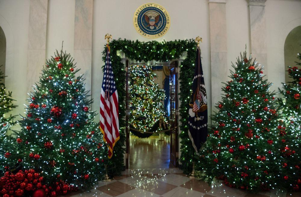 Christmas Tree and a Red S Logo