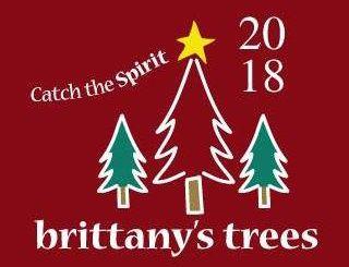 Christmas Tree and a Red S Logo - Brittany's Trees