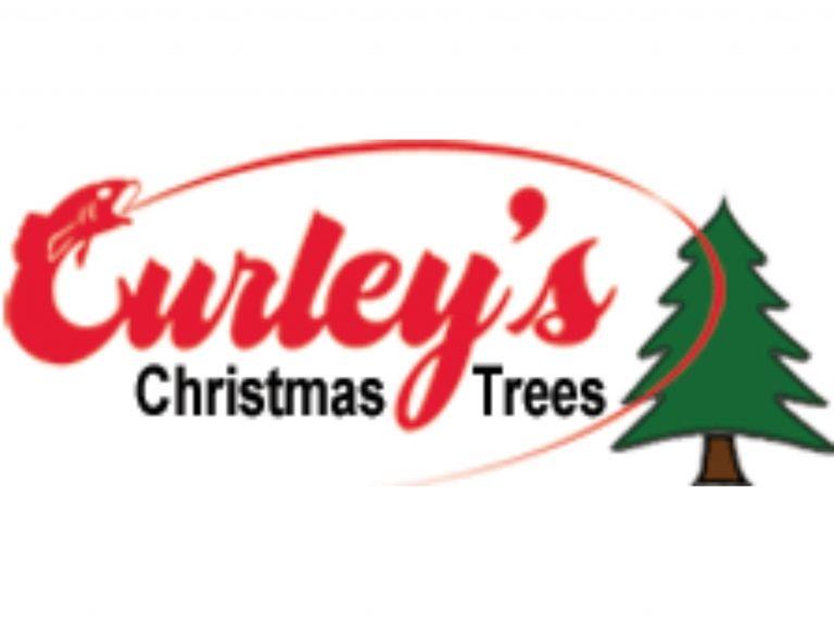 Christmas Tree and a Red S Logo - Christmas Trees at Curley's 2017