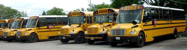 School Bus Company Logo - AM Bus Company School Bus Rentals and Bus Charters since 1993.