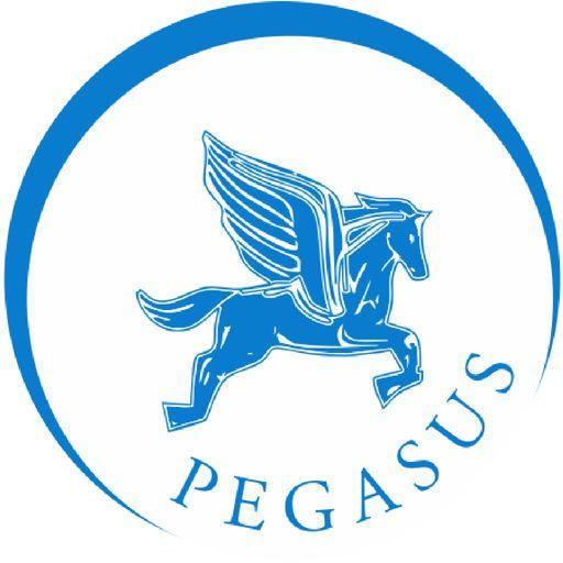 Pegasus Transportation Logo - Pegasus Limo by Limosys Software LLC