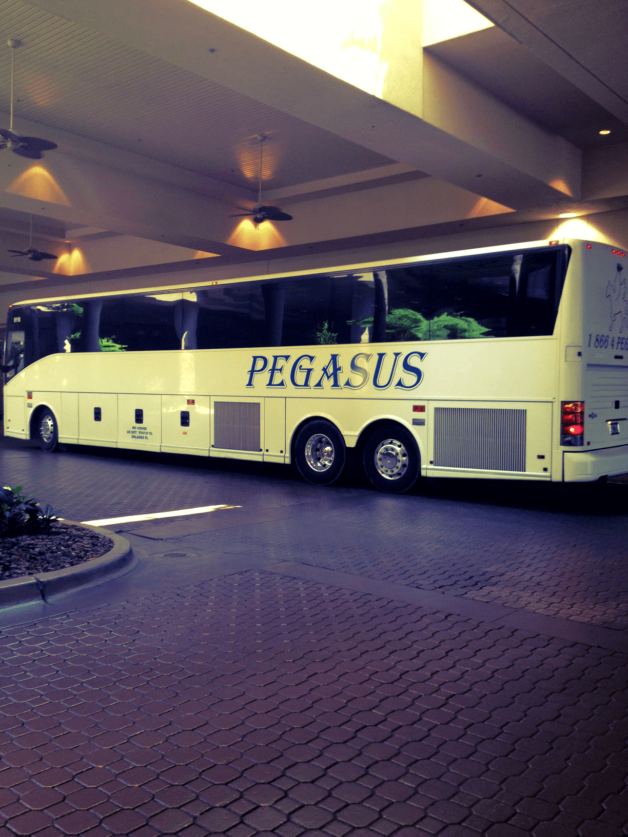 Pegasus Transportation Logo - 1 of 3 Pegasus buses outside The Peabody Orlando! Airport shuttle in ...