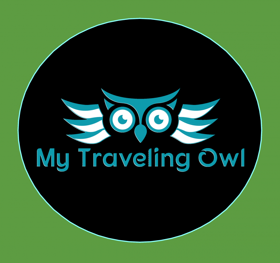 Travel Owl Eye Logo - My Traveling Owl | 443-243-0745