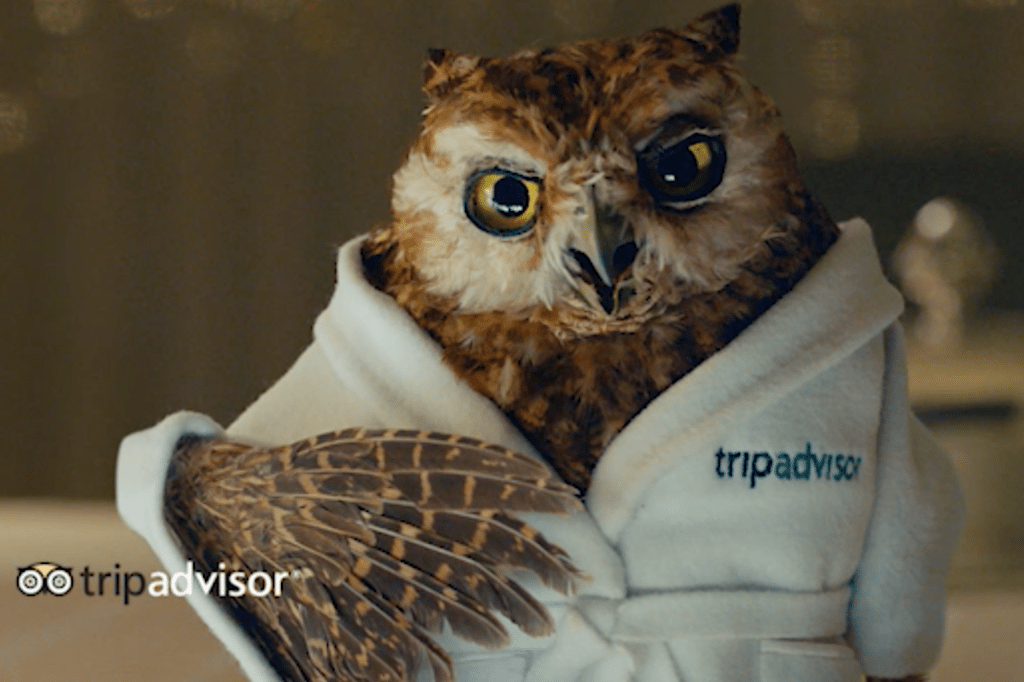 Travel Owl Eye Logo - ComScore Study Claims TripAdvisor Is Top-Visited Travel Site Before ...