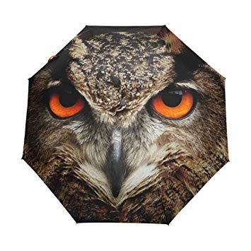 Travel Owl Eye Logo - Amazon.com | LORVIES Owl Eyes Foldable and Automatic Rain Umbrella ...
