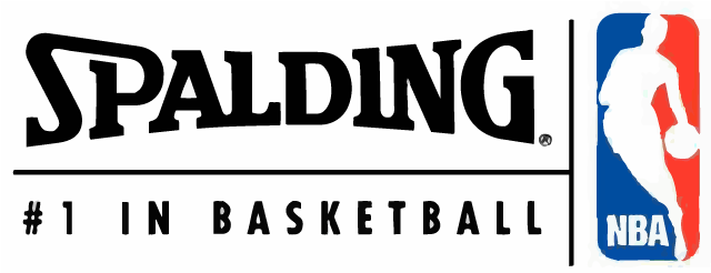 Spalding Logo - Spalding NBA Silver Portable Basketball Unit | McSport.ie
