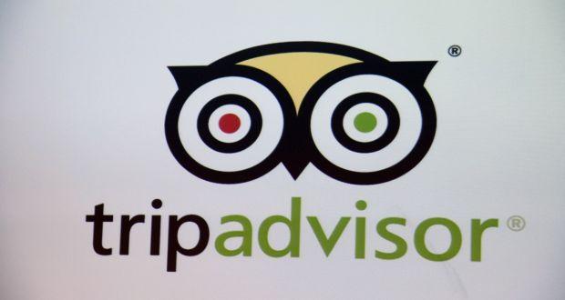 Travel Owl Eye Logo - Tripadvisor chief Stephen Kaufer sees no threat from direct hotel