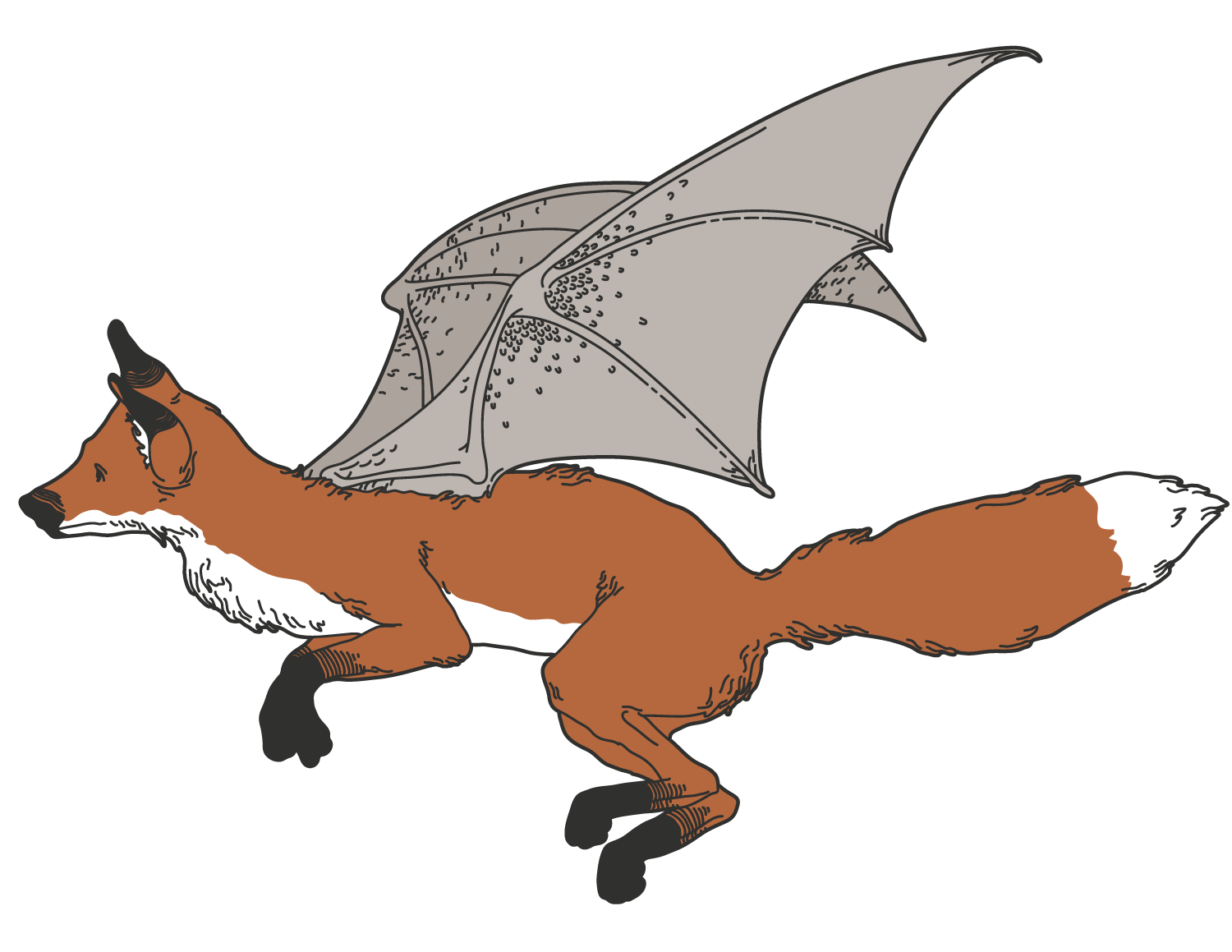 Flying Fox Logo - Flying Fox Logo Mark