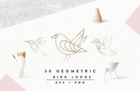Geometric Bird Logo - Geometric Bird Logos EPS & PNG ~ Icons ~ Creative Market