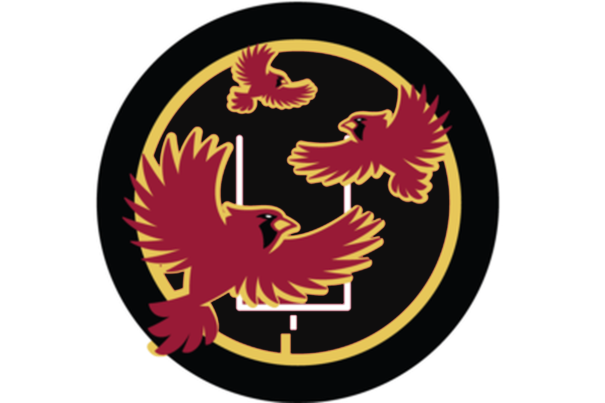 Arizona Cardinals Bird Logo - The Revenge of the Birds Podcast: Wilks/Keim Firing Rumors, Fixing ...