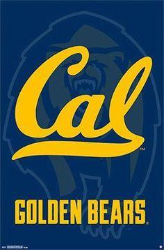 Blue Bear Paw Logo - Introducing NCAA Cal Berkeley Bear Paw Logo Shape USB Drive Cal ...