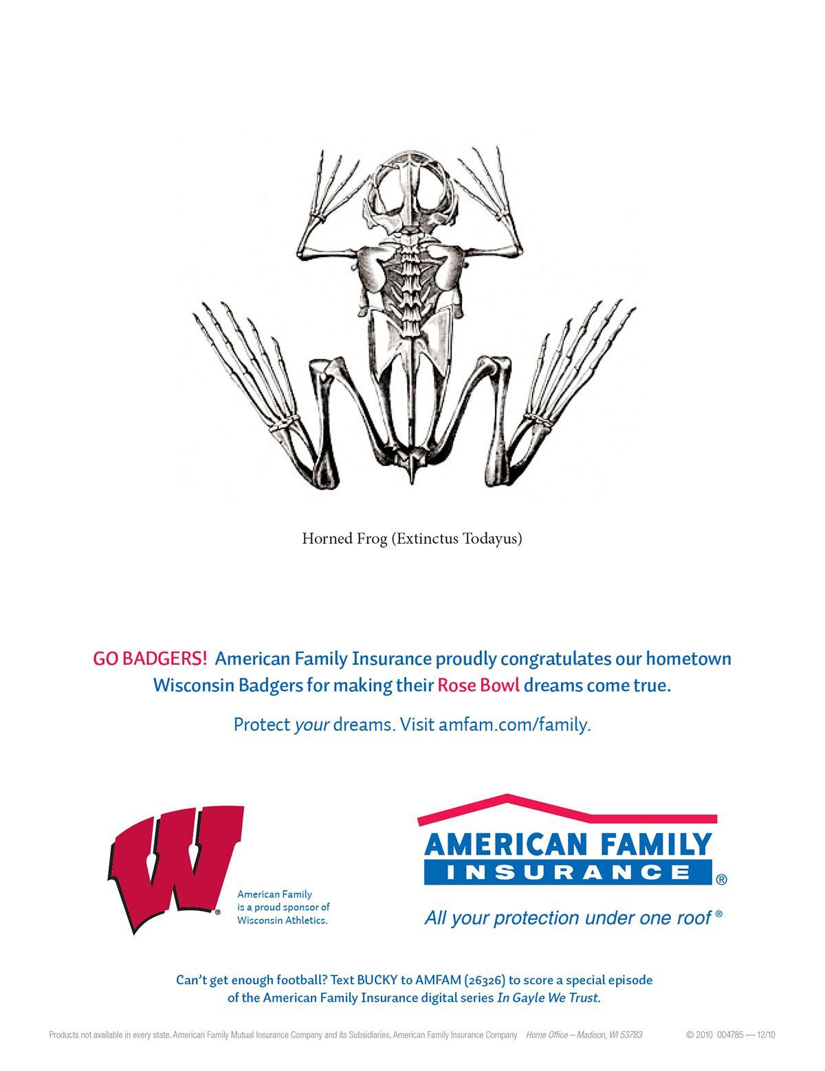 AmFam Roof Logo - Print ads for American Family Insurance on Behance