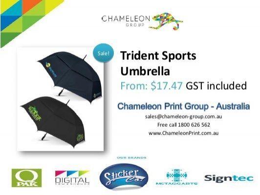 Trident Sports Logo - Trident Sports Umbrella - Chameleon Print Group