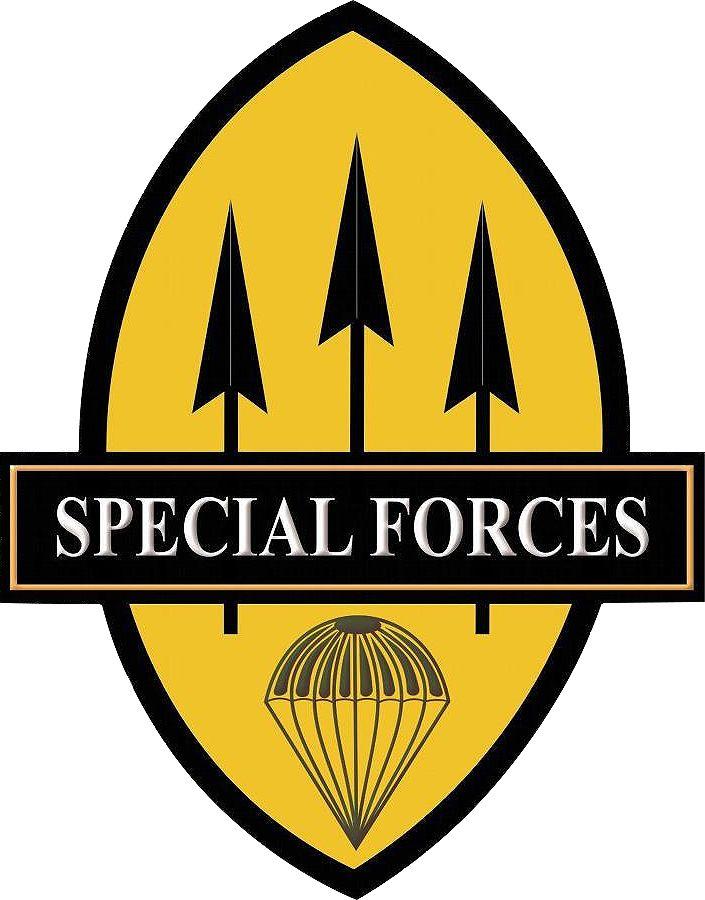 Special Forces Logo - PA Special Forces Qualification