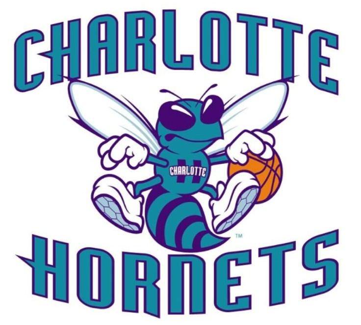 Charlotte Hornets Logo - The OG Charlotte Hornets Logo. Subsequently, they rebranded ...