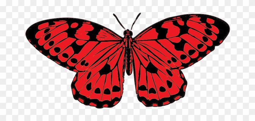 Black and Red Butterfly Logo - Black Red Butterfly Clip Art Png Clipart - Red And Black Butterfly ...