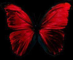 Black and Red Butterfly Logo - Best Black & Red image. Cute dresses, Black, Couture