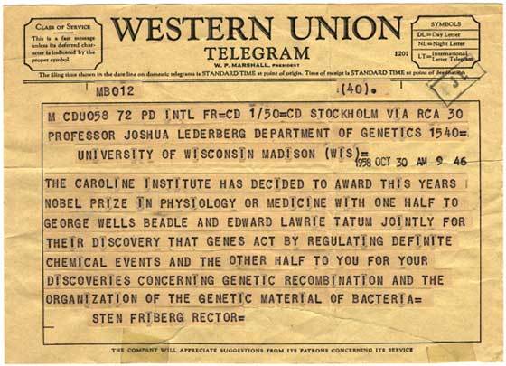 Western Union Telegram Logo - Western Union telegram | The Kitchen Cabinet.US